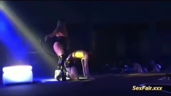 Flexible Lapdance On Venus Show Stage