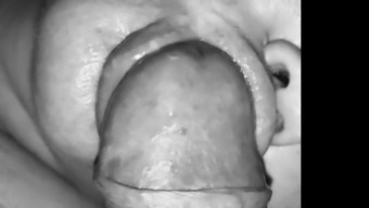 Close Up Cum In Mouth