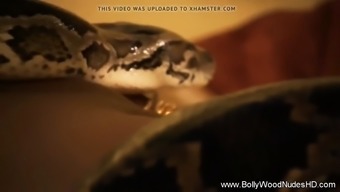 The Sensual Snake Of India