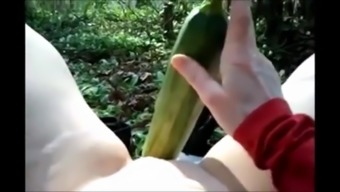 Cucumber In The Woods