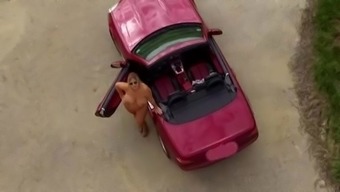 Nude Cruise With My Cabrio