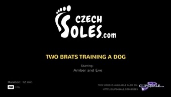 Two Brats Training A Dog - Czechsoles.Com Teaser