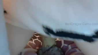 Bad Dragon Dildo And Small Petite Pussy On Her Bed