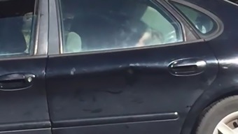 Couple Caught Fucking In The Car