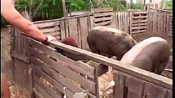 Huge Boobs Redhead Chick Gets Cum After Hot Fuck Outdoors