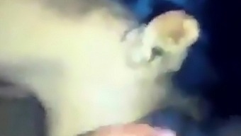 Girl Sucking My Cock My Skype Id: Boy4sex4f