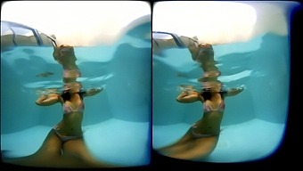 Compilation - 2 Bikini Girls Underwater - Vrpussyvision