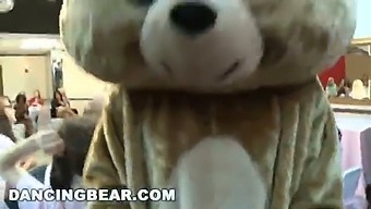 Dancing Bear - Wild Dick-Sucking Orgy For The Bride To Be And Her Slutty Friends