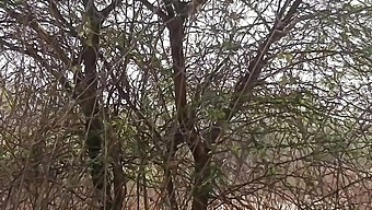 Marathi Couple'S Amateur Sex In The Jungle